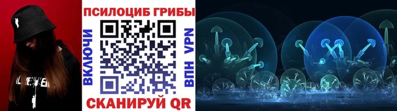 Псилоцибиновые грибы Psilocybine cubensis  Луга 